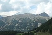 p1005598.jpg