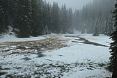 p1005773.jpg