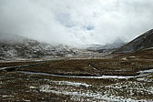 p1005792.jpg