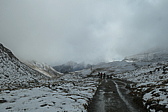 p1005795.jpg