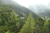 p1005825.jpg
