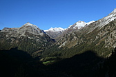 p1005828.jpg
