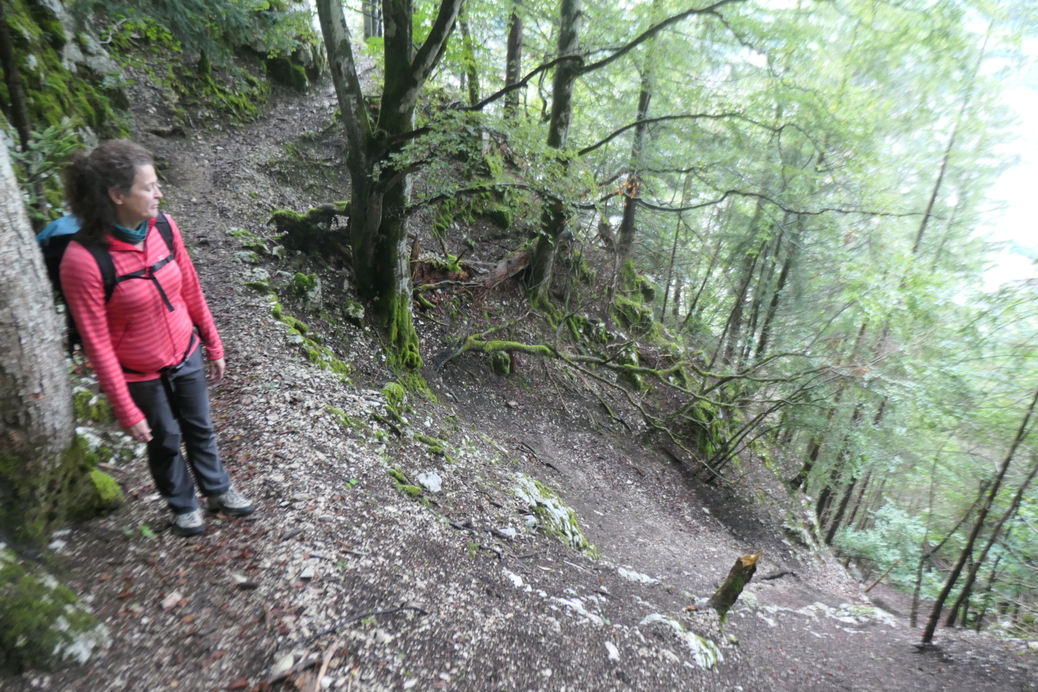 p1005645.jpg