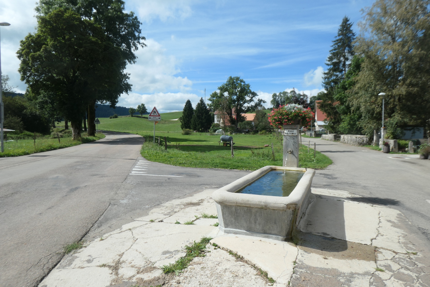 p1005666.jpg