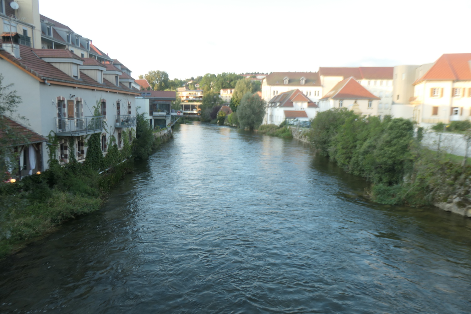 p1005710.jpg