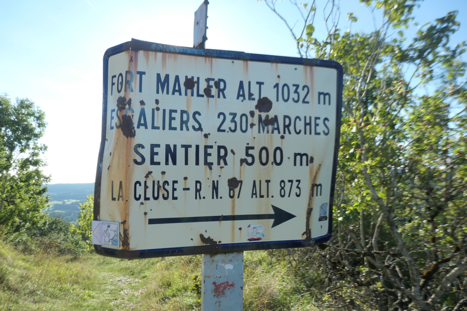 p1005734.jpg