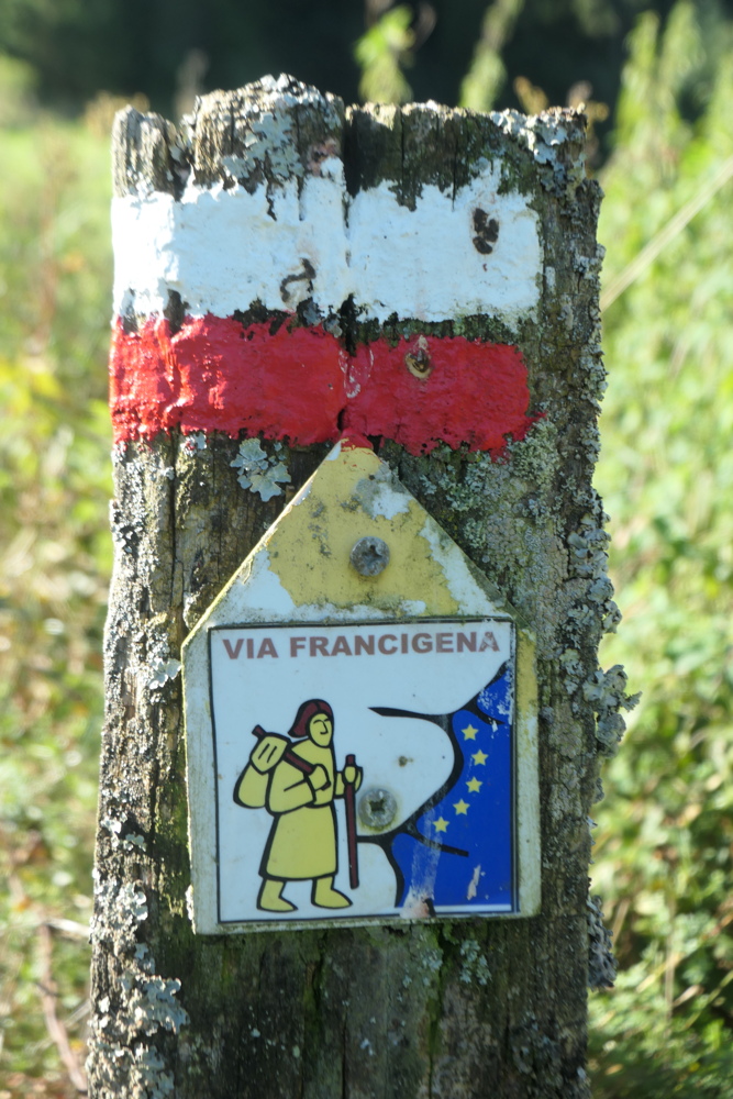 p1005747.jpg