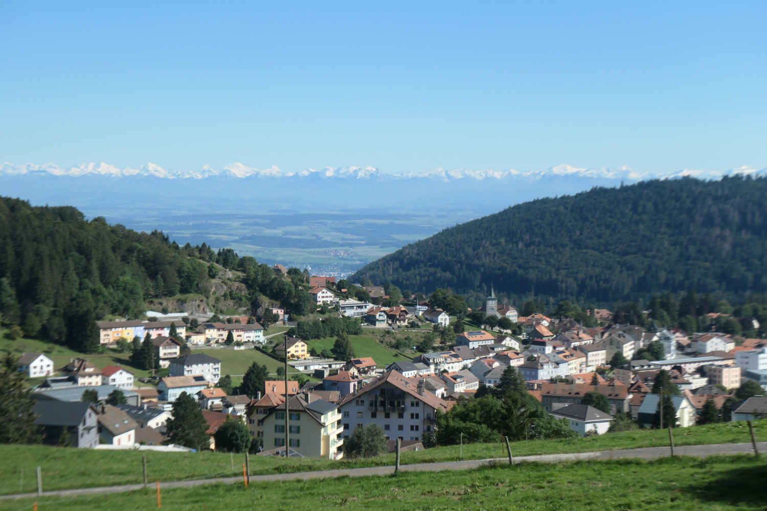 p1005763.jpg