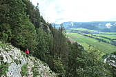 p1005647.jpg