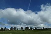 p1005654.jpg