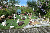 p1005655.jpg