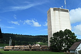 p1005673.jpg