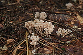 p1005689.jpg
