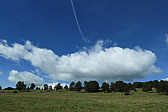 p1005696.jpg