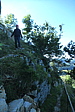 p1005735.jpg