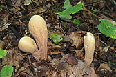 p1005749.jpg