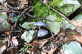 p1005750.jpg