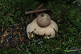 p1005759.jpg