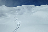 p1004555.jpg
