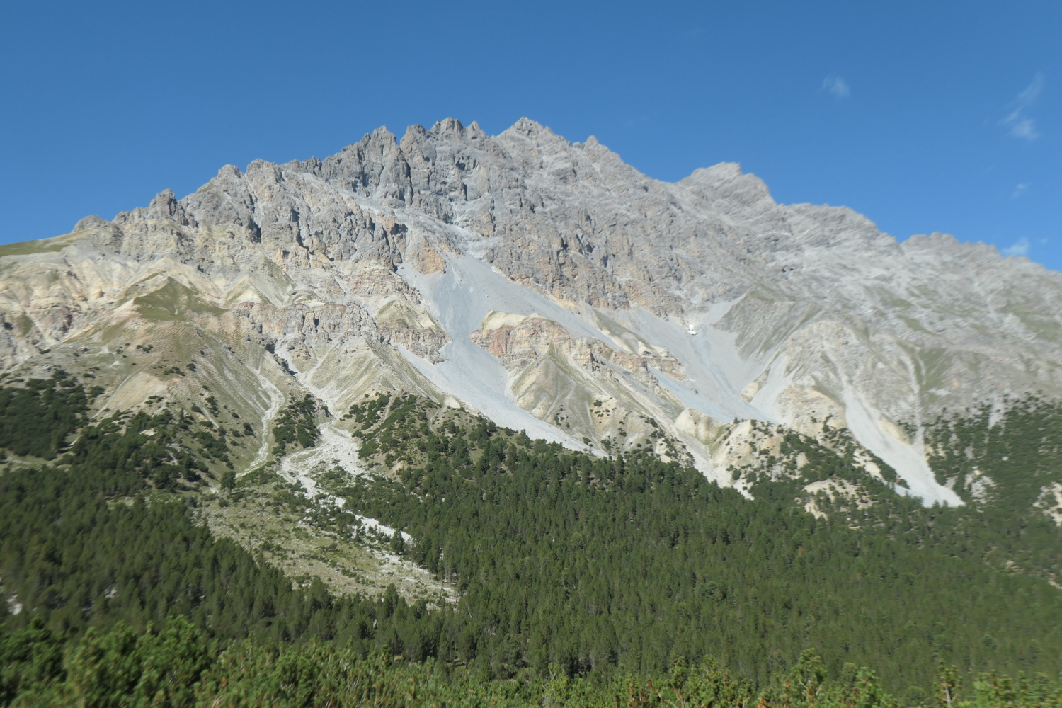 p1005617.jpg