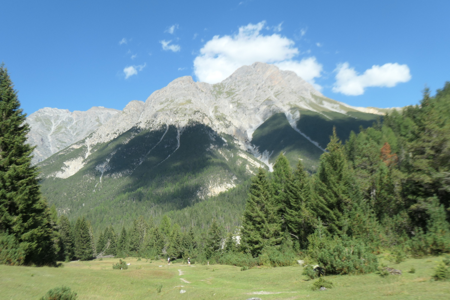 p1005620.jpg