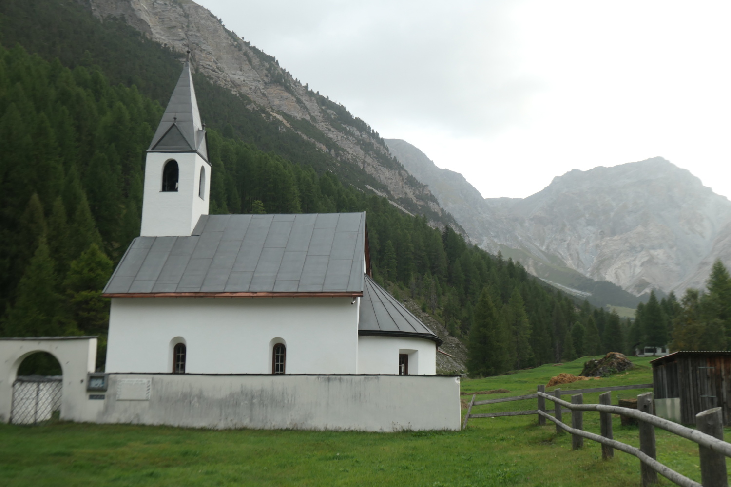 p1005624.jpg