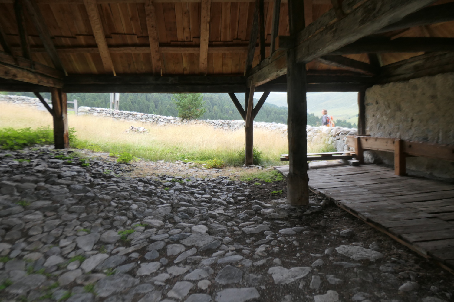 p1005630.jpg