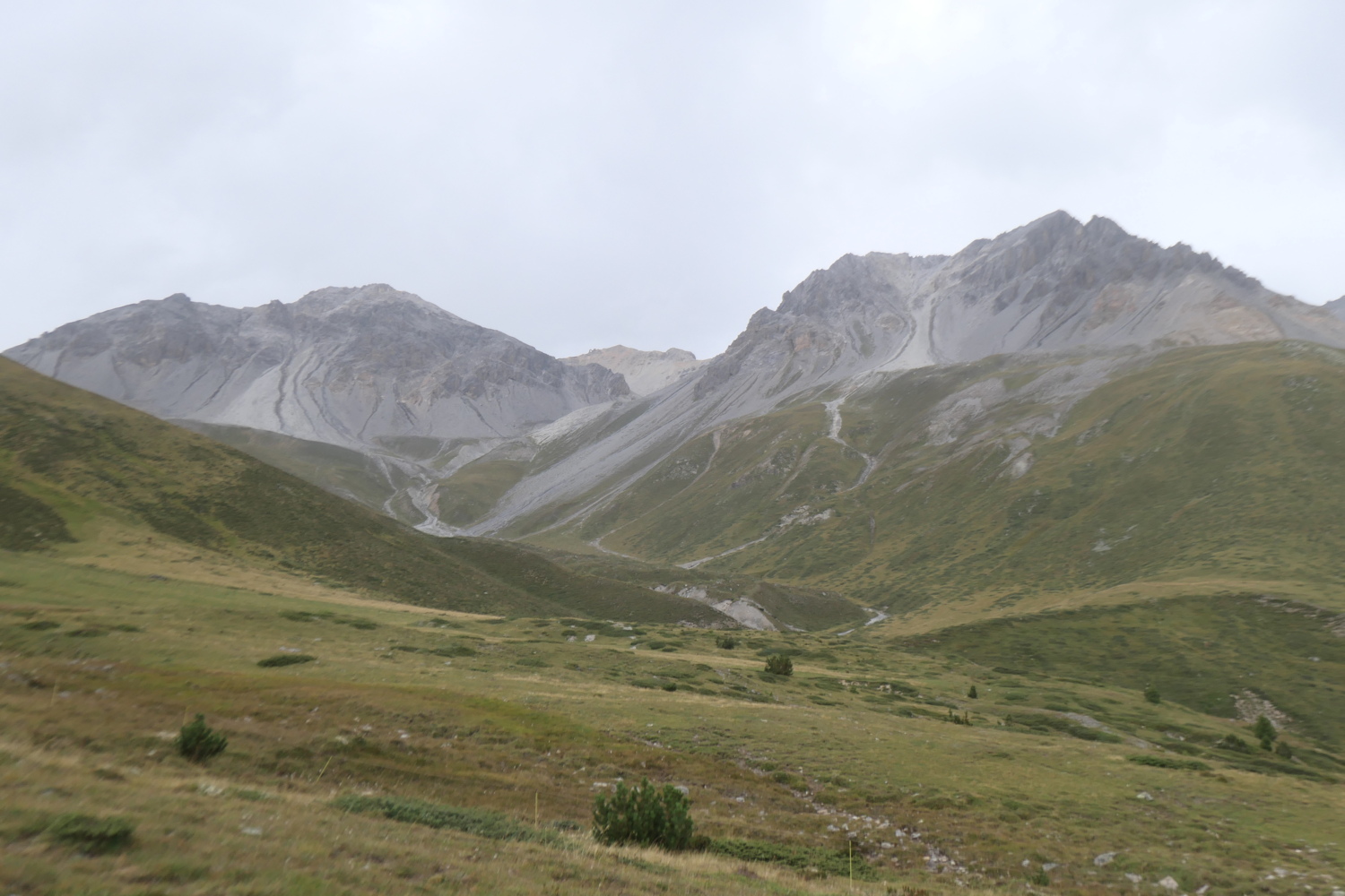 p1005631.jpg