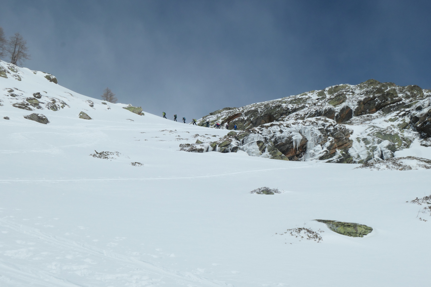 p1004563_2.jpg