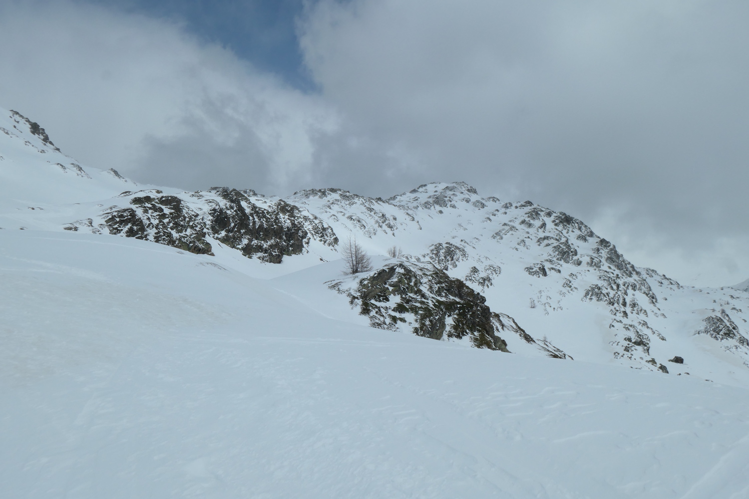 p1004567_2.jpg