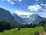 img_3525.jpeg