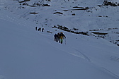 p1010181.jpg
