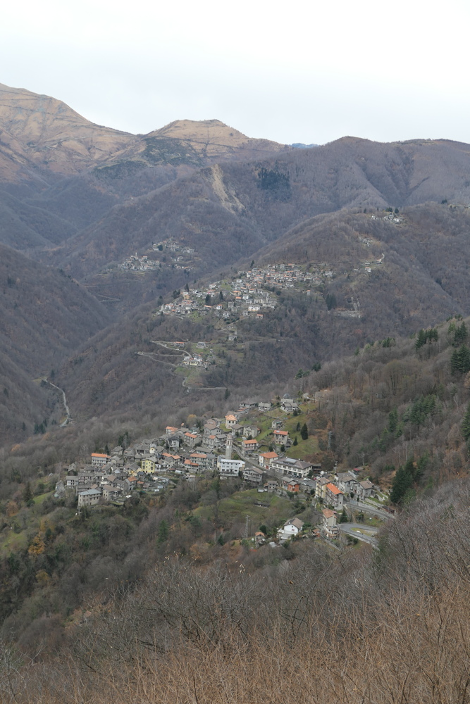 p1010141.jpg