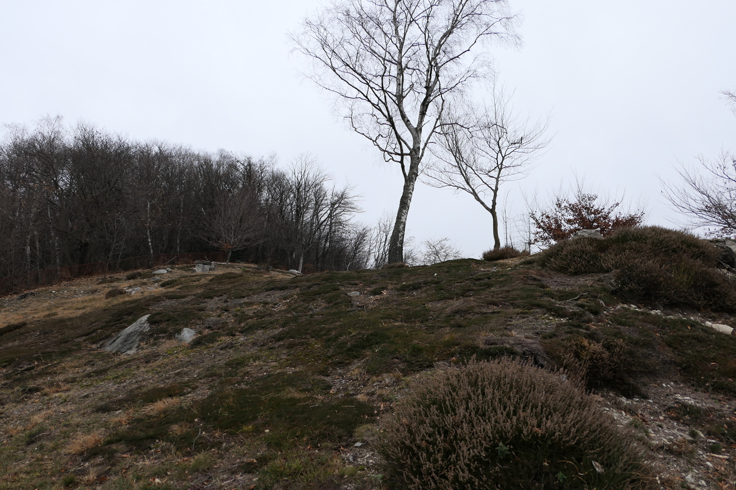 p1010151.jpg