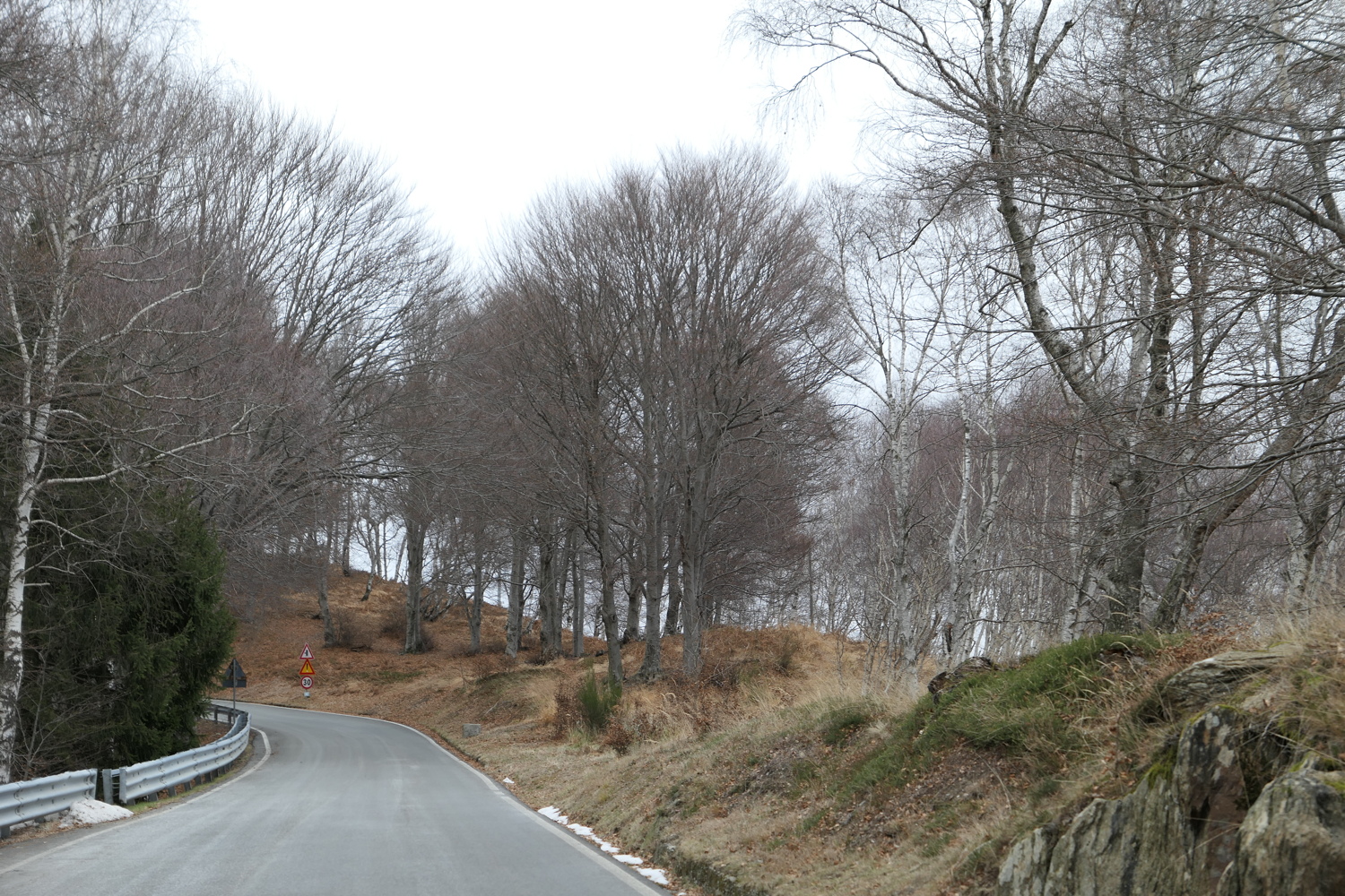 p1010155.jpg