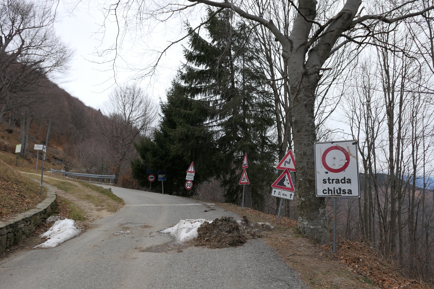 p1010165.jpg