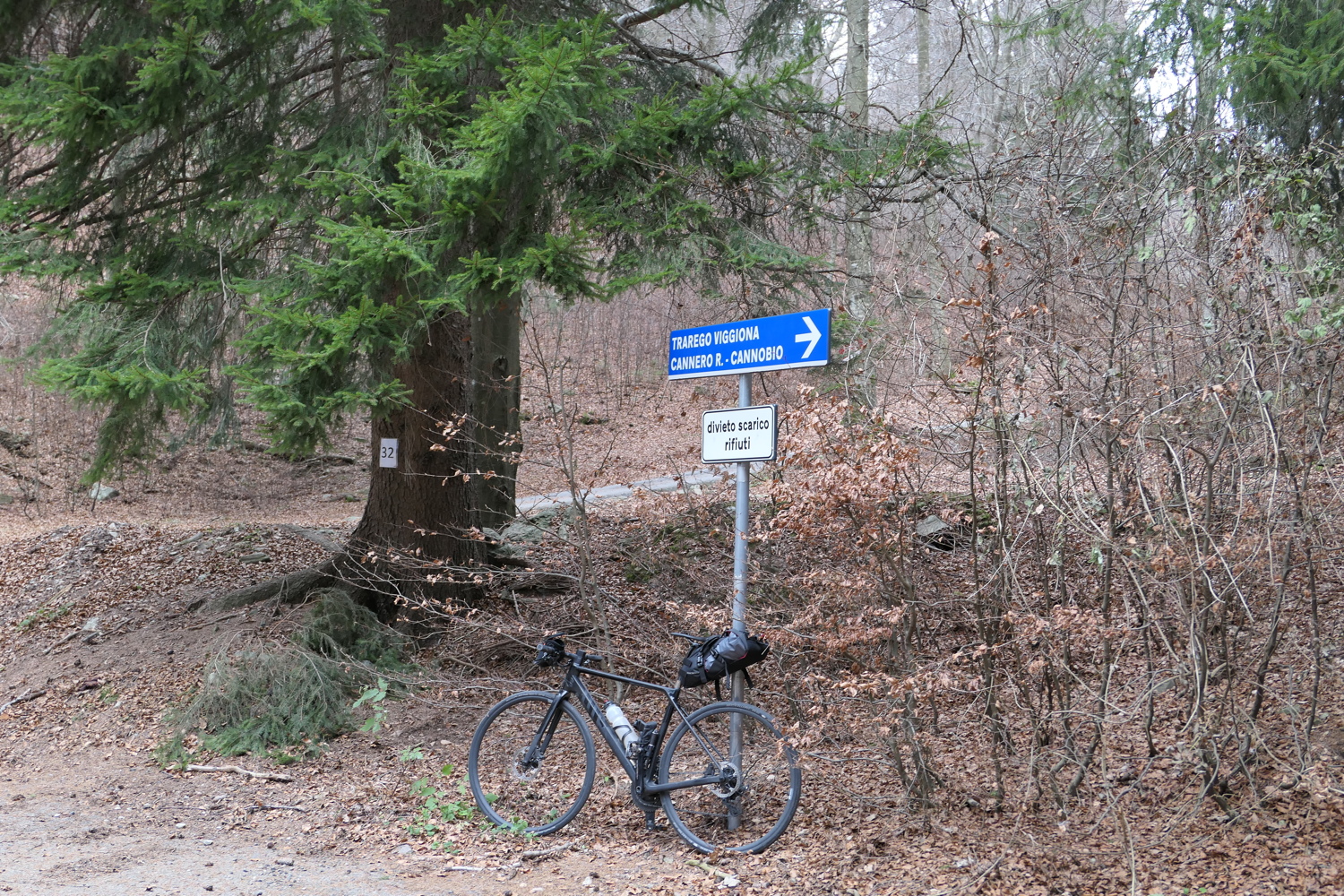 p1010168.jpg