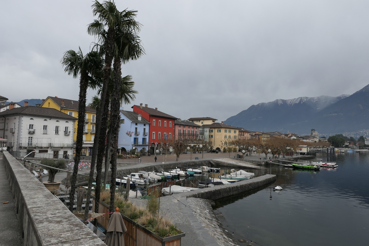 p1010177.jpg