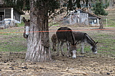 p1010123.jpg