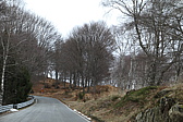 p1010155.jpg