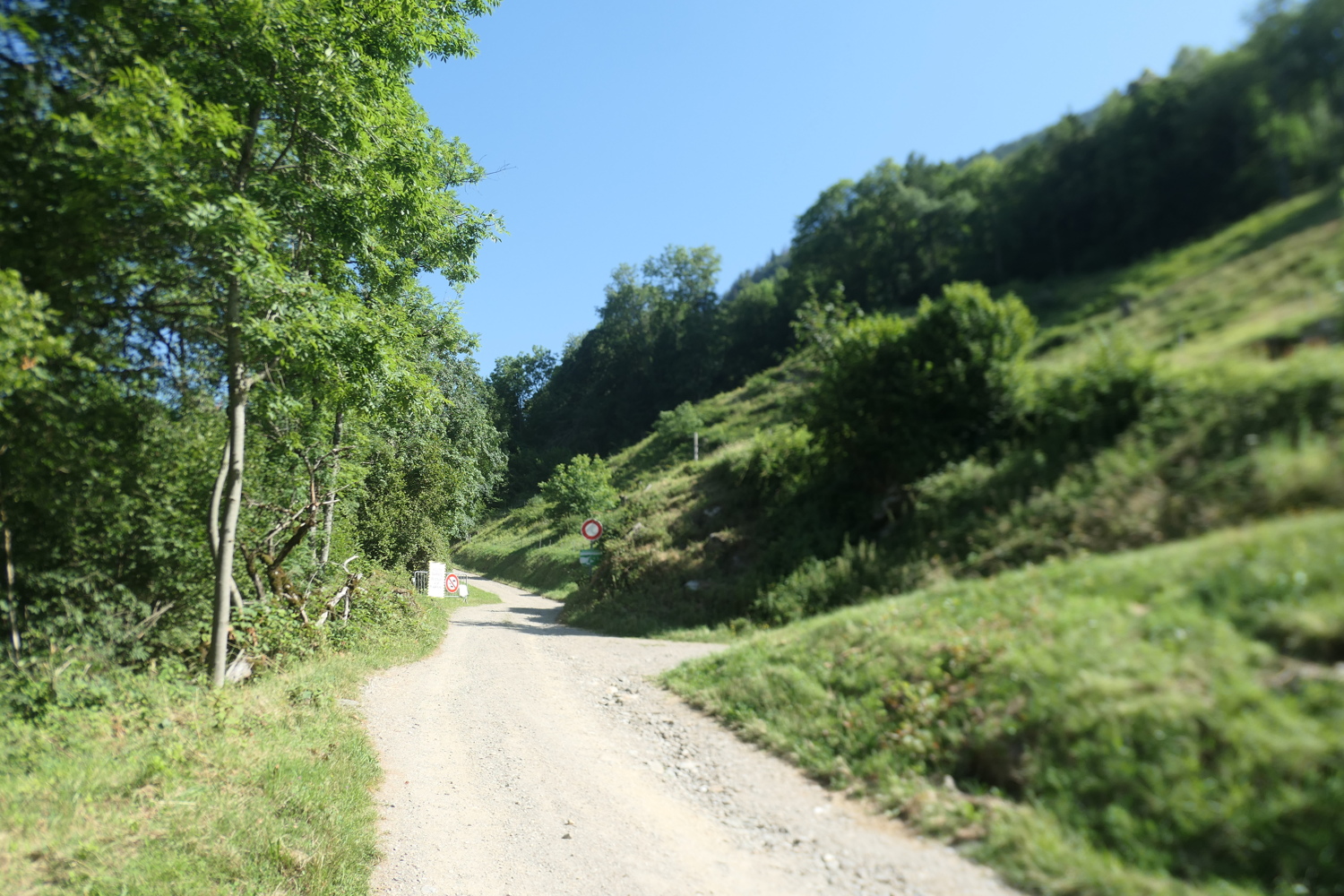 p1080624.jpg