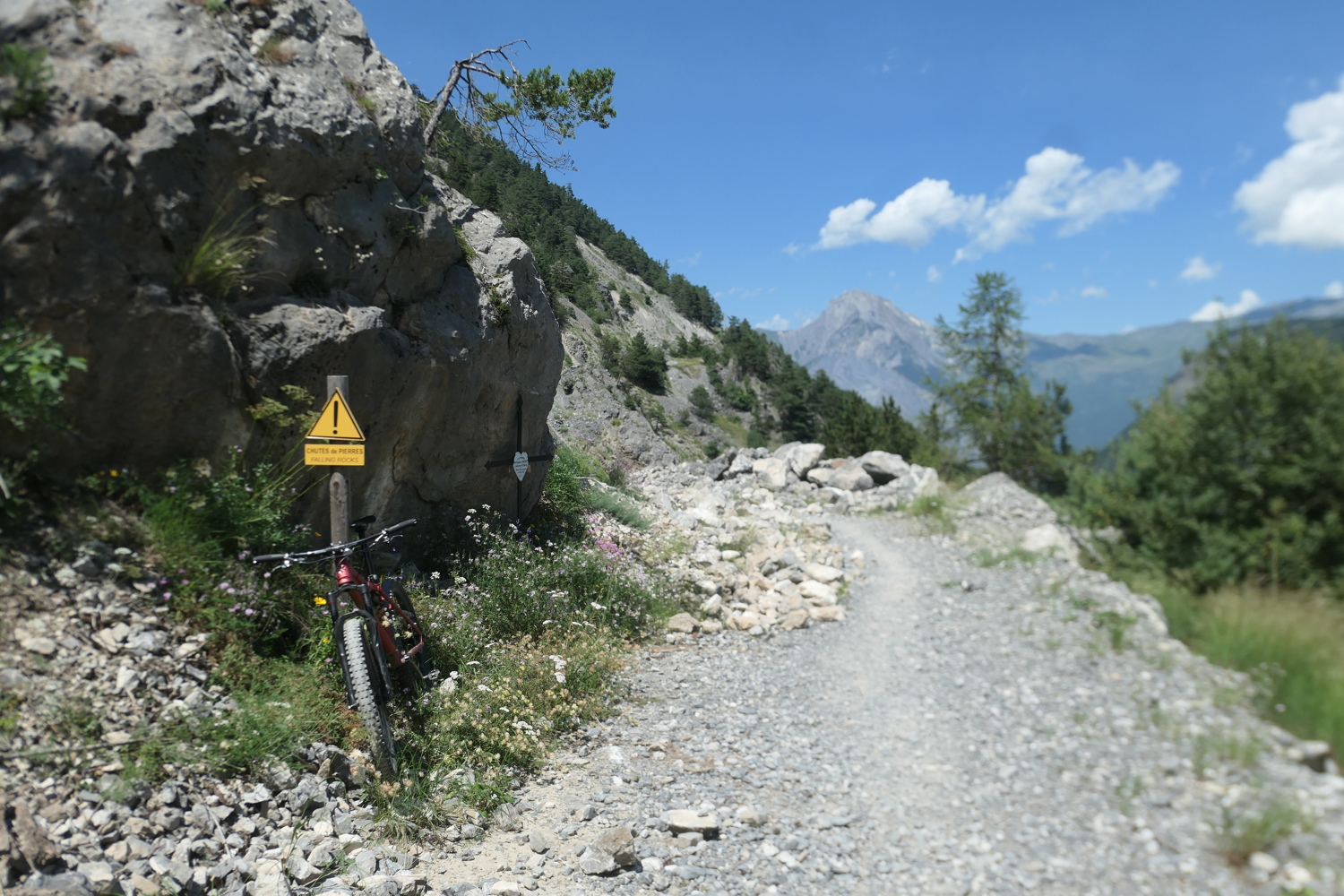 p1080647.jpg