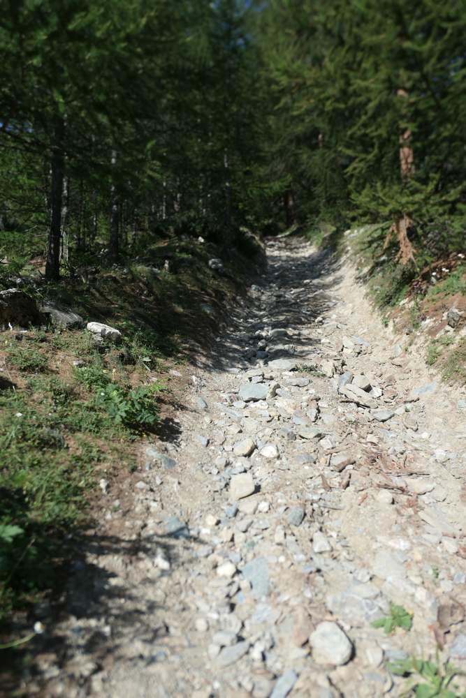 p1080697.jpg