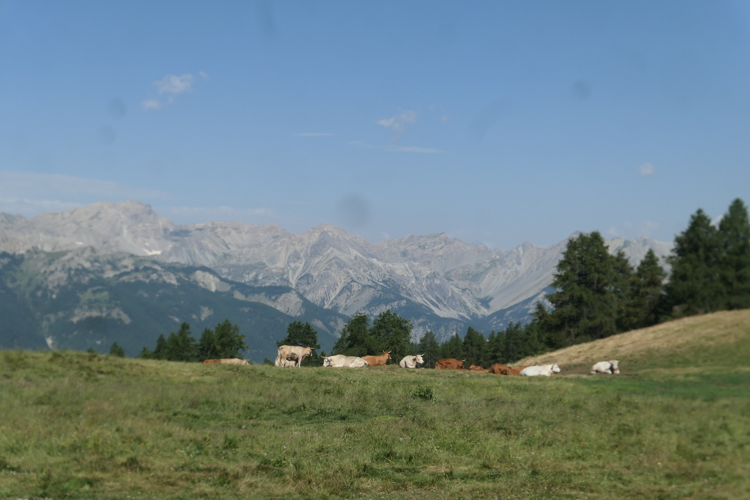 p1080700.jpg