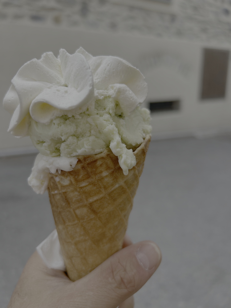 p1080710a.jpeg