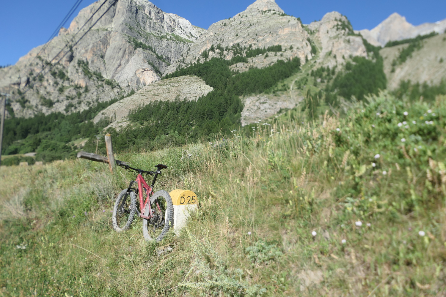 p1080773.jpg