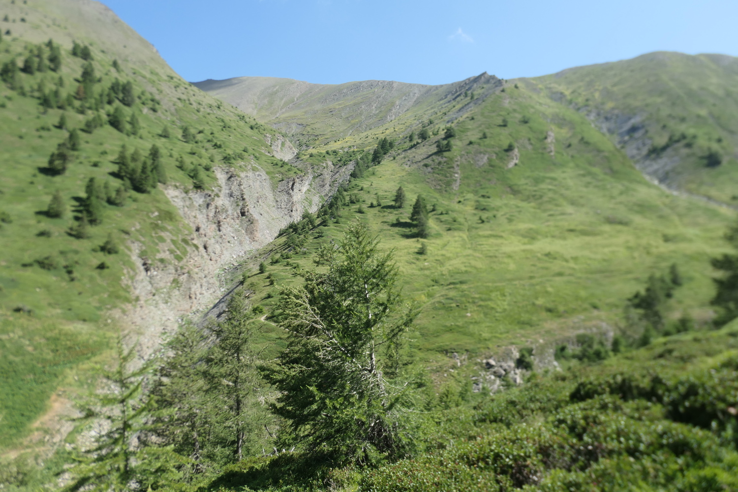 p1080800.jpg
