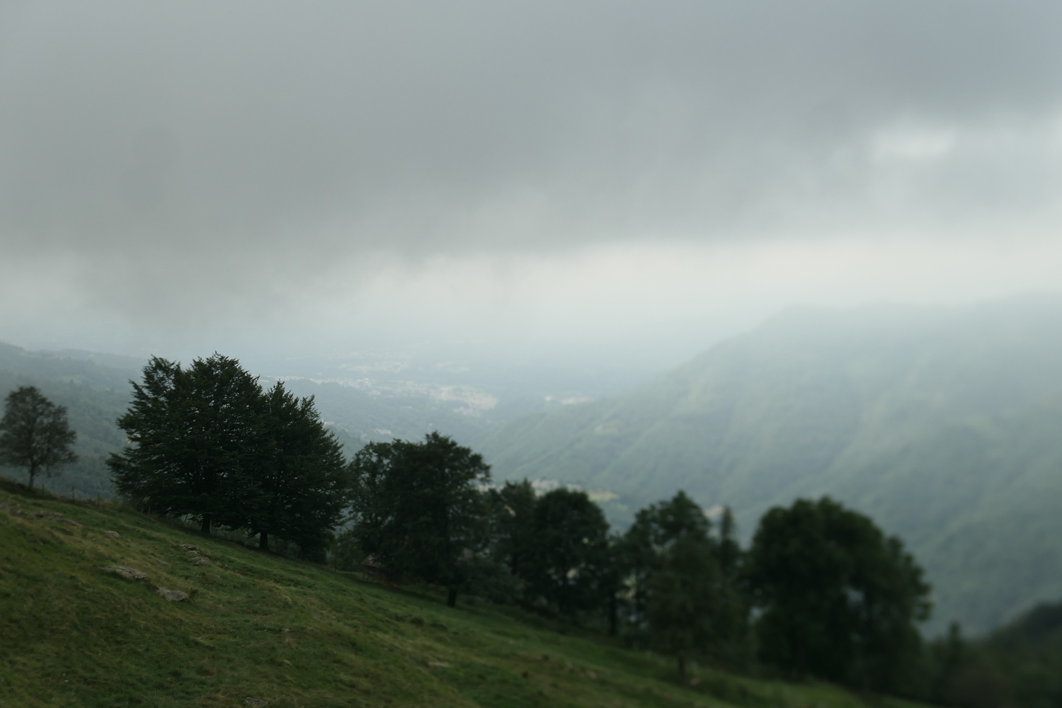 p1080821.jpg