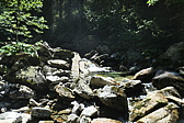 p1080626.jpg