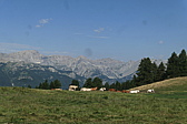 p1080700.jpg
